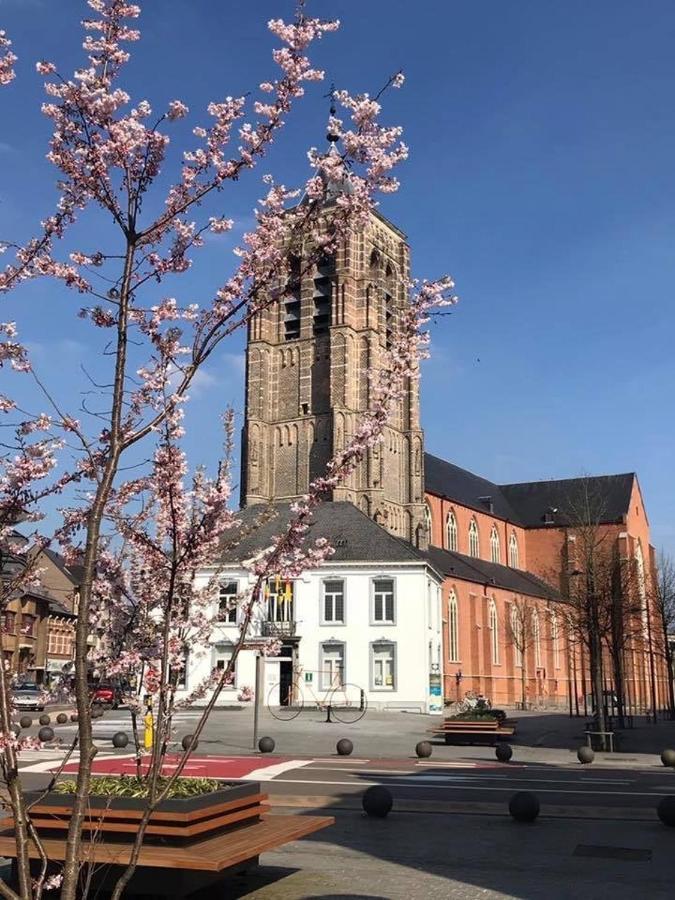 Elvier B&B Mol Bagian luar foto