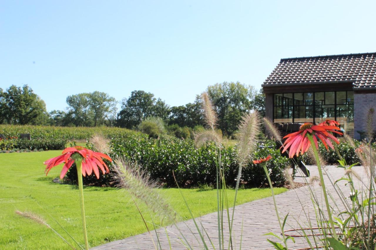 Elvier B&B Mol Bagian luar foto