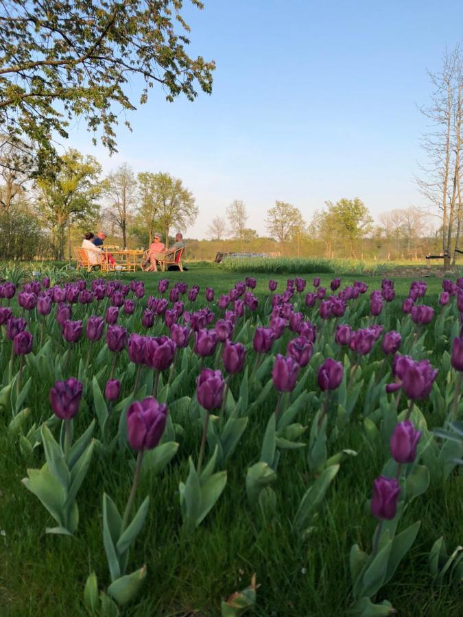 Elvier B&B Mol Bagian luar foto