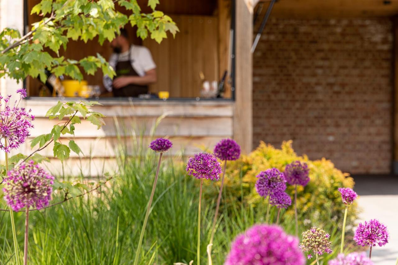 Elvier B&B Mol Bagian luar foto